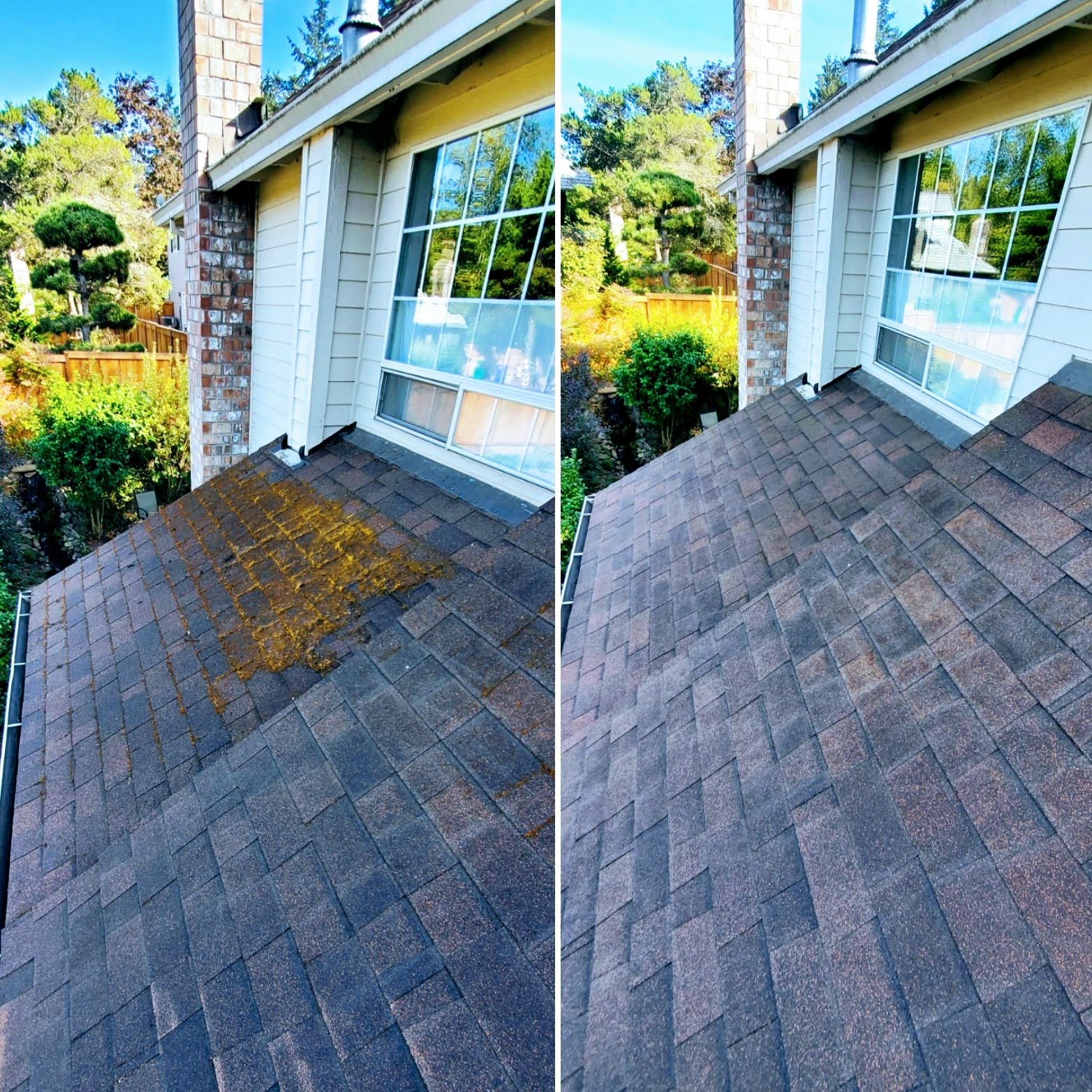Roof moss removal before and after comparison
